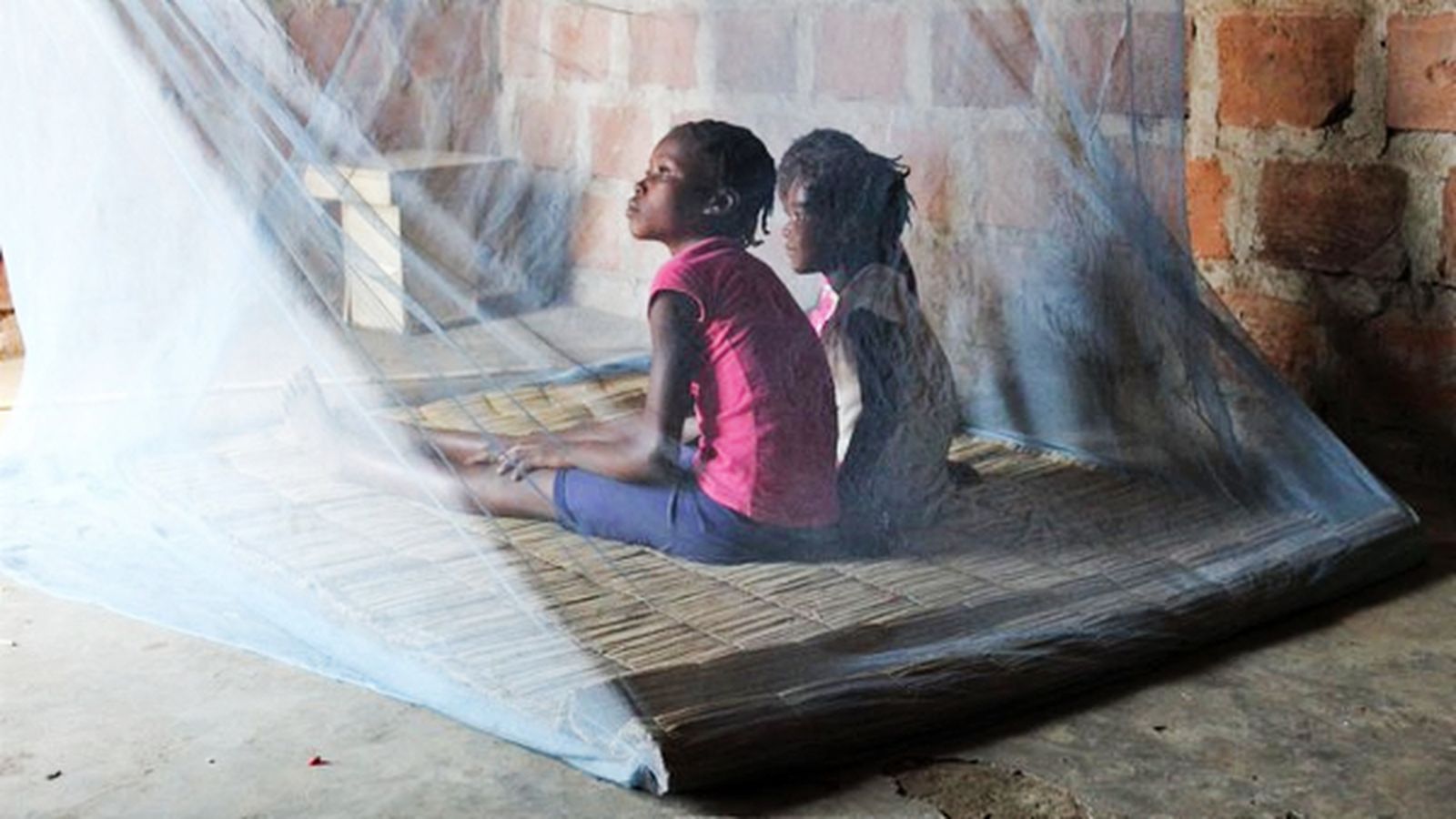 Una mosquitera protegeix les xiquetes de la picadura de l'Anopheles, el mosquit que transmet la malària