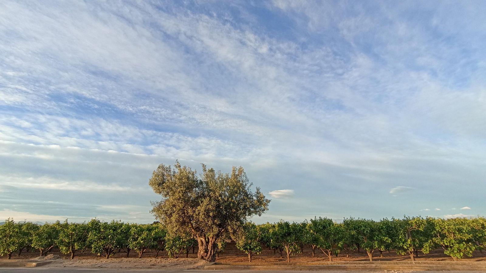 6.GEMA FERNÁNDEZ, Guadassuar, la Ribera Alta