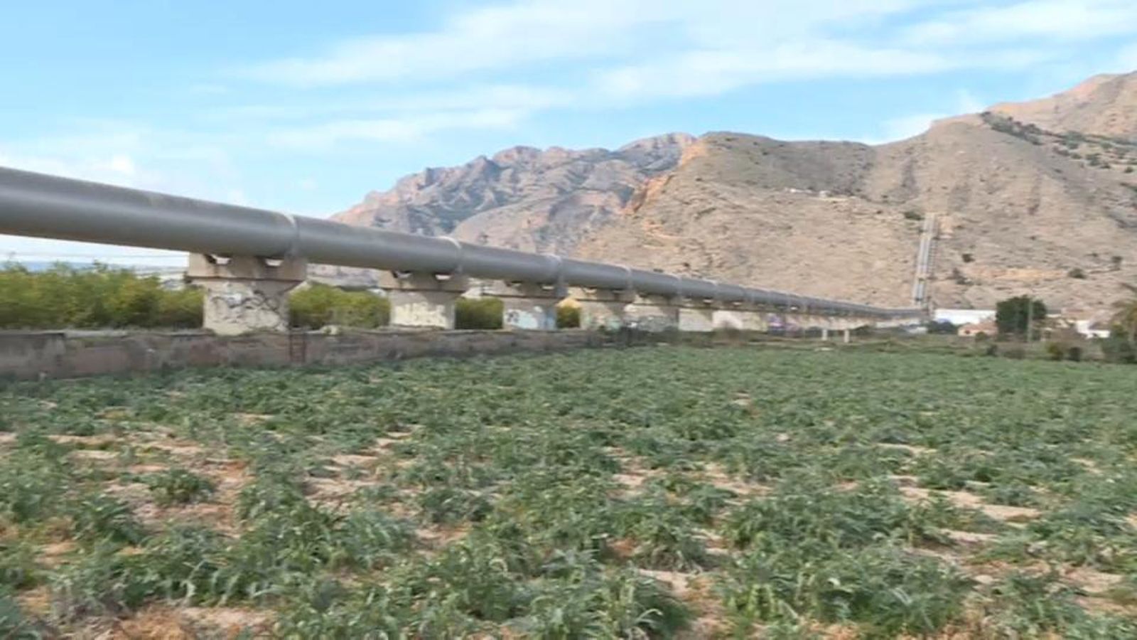 Els regants valencians demanaran una opinió experta sobre la sentència del Tajo