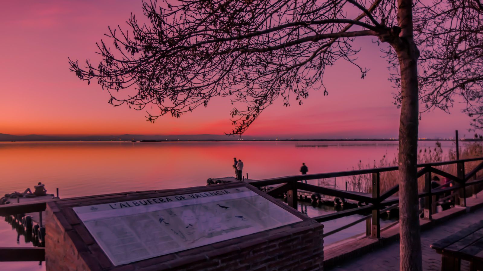 Parc Natural de l'Albufera