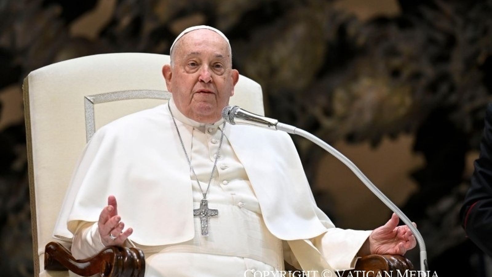 El papa, en una imatge recent