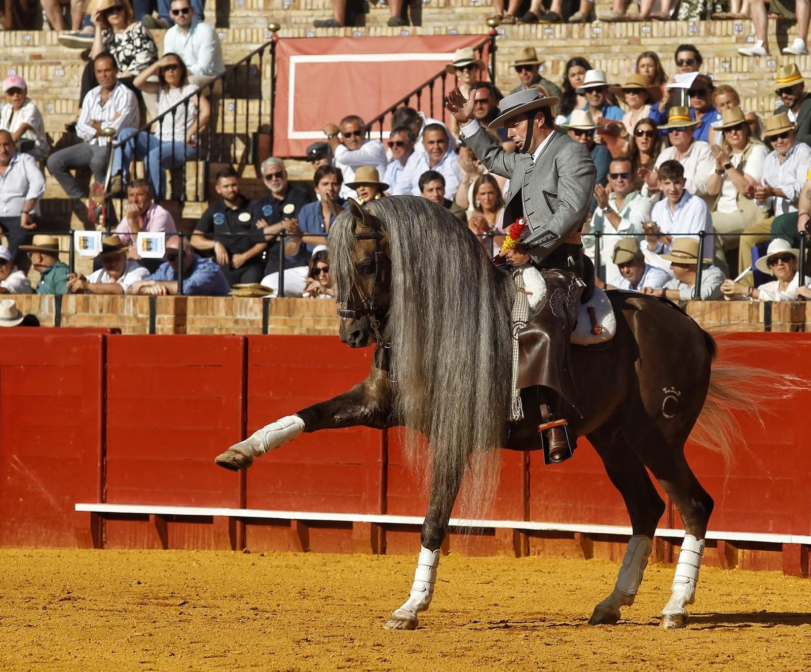 Andy Cartagena