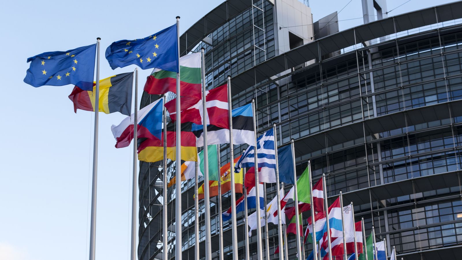 El tribunal europeu, amb seu a Estrasburg, ha determinat que la justícia espanyola no va investigar com calia el cas