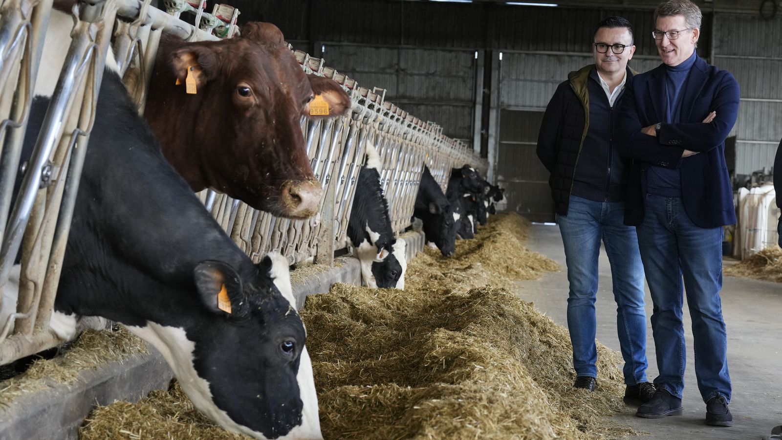 Feijóo realitza una visita a una explotació agrària en Lalín (Orense)