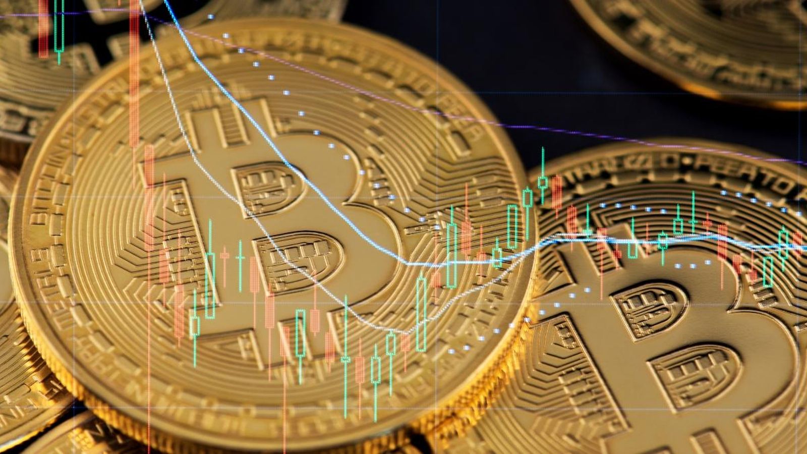 Quatre detinguts a Alacant per una estafa de 7 milions d'euros en bitcoins