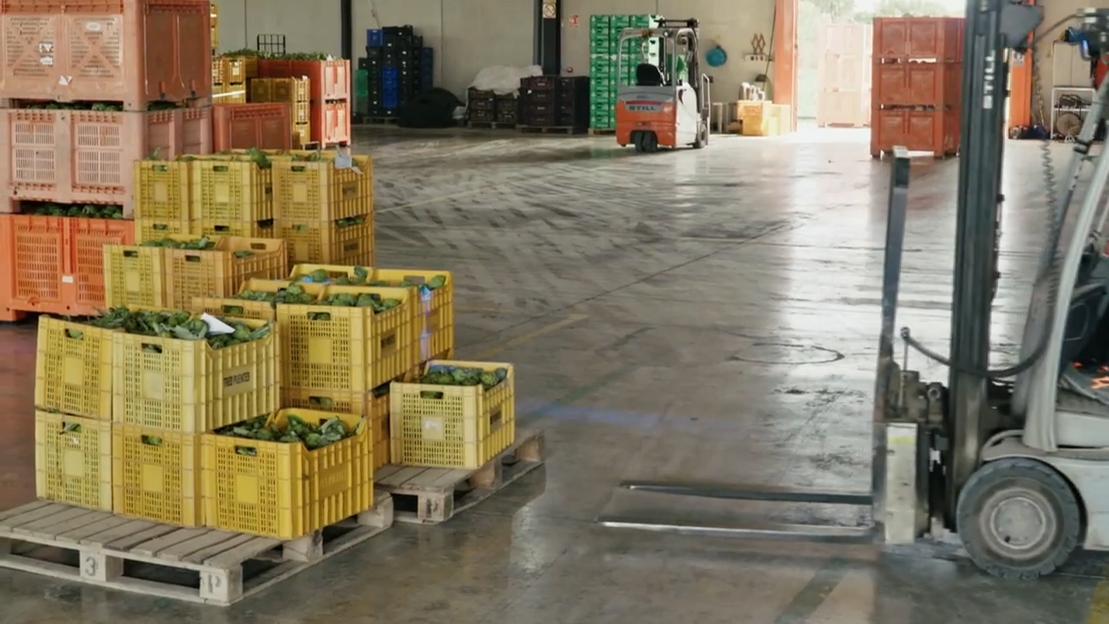 De mar i bancal | Descobrim més cultius