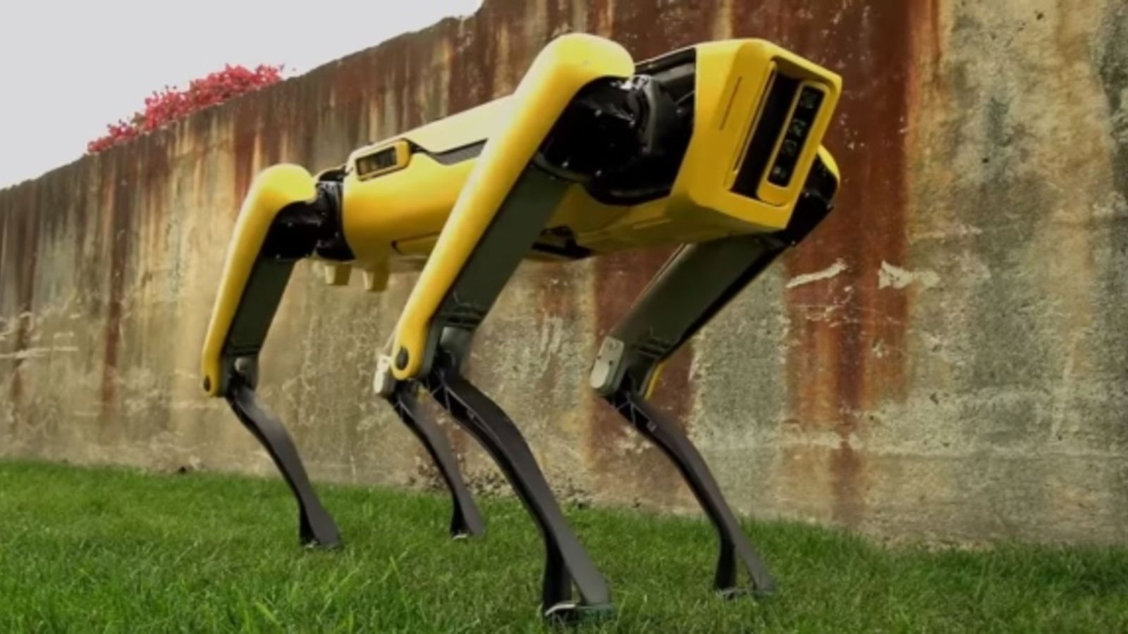 05.10.2018 | Xarxes | Arriba el primer gos robot