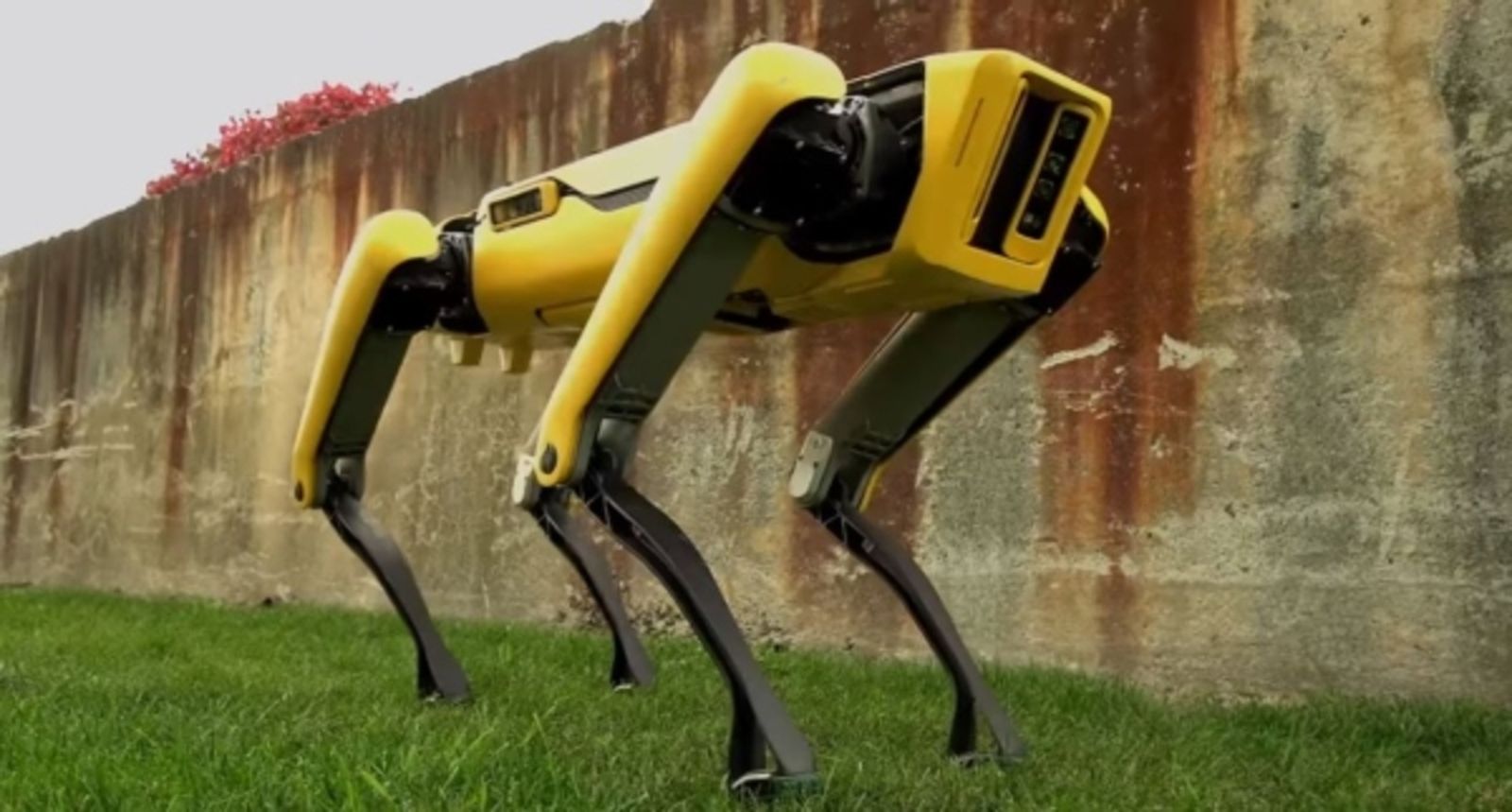 05.10.2018 | Xarxes | Arriba el primer gos robot