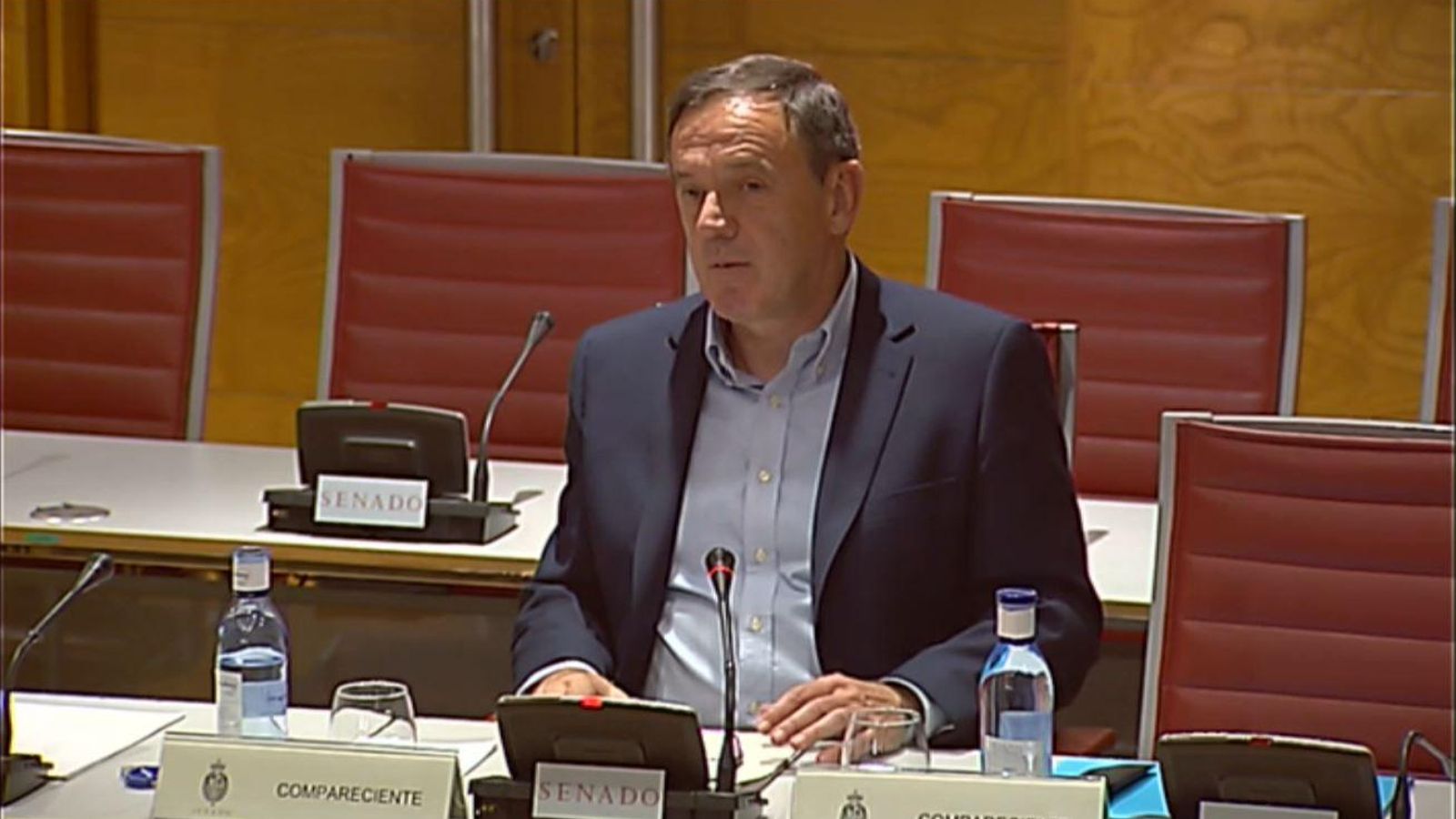 Joan Ignasi Pla declarant en la Comissió d'Investigació del Finançament dels Partits del Senat