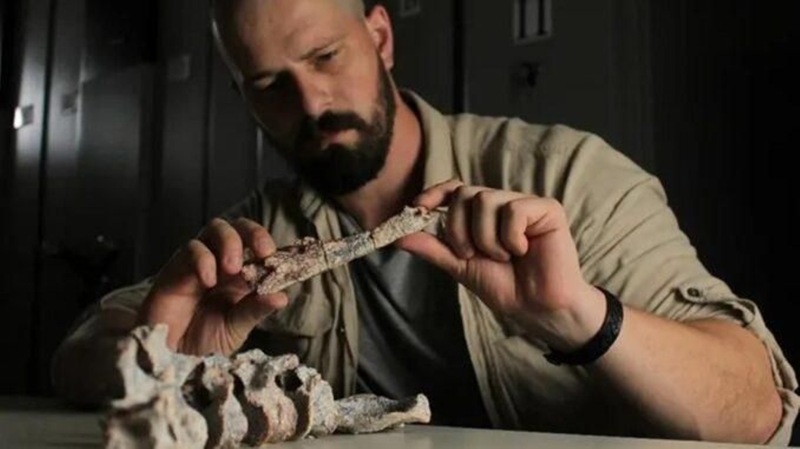 El paleontòleg Rodrigo Temp Müller, amb restes fòssils del 'Tainrakuasuchus bellator'