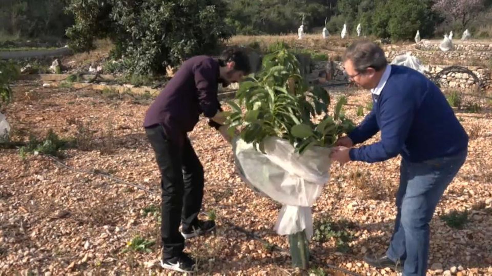 Docents i professionals del món rural analitzen el futur de l\'agricultura a València
