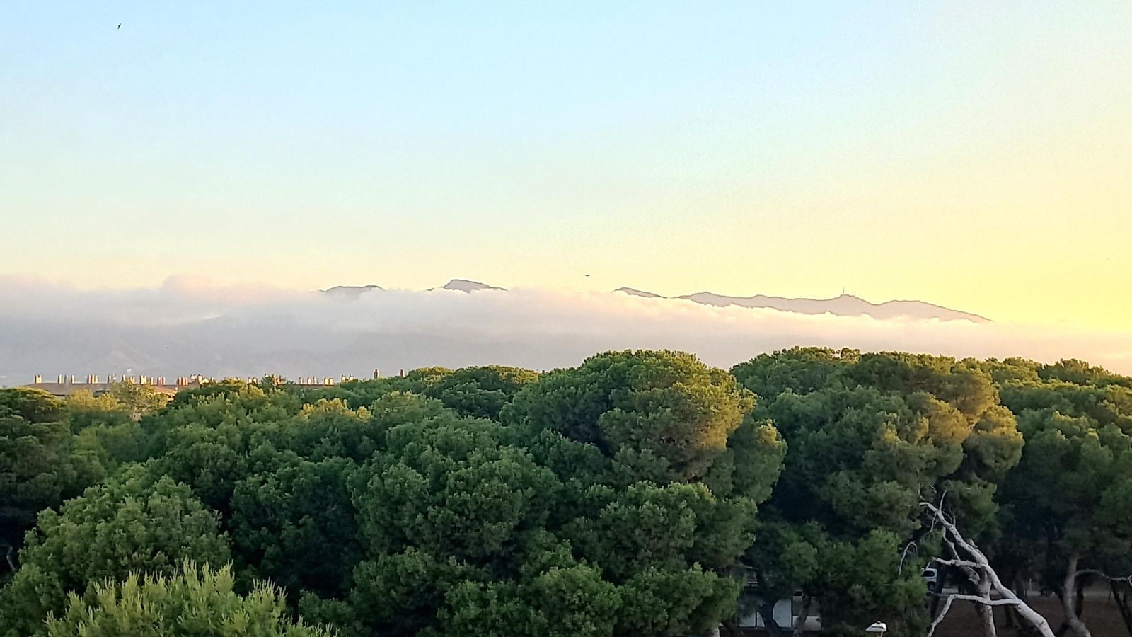 GRAU DE CASTELLÓ