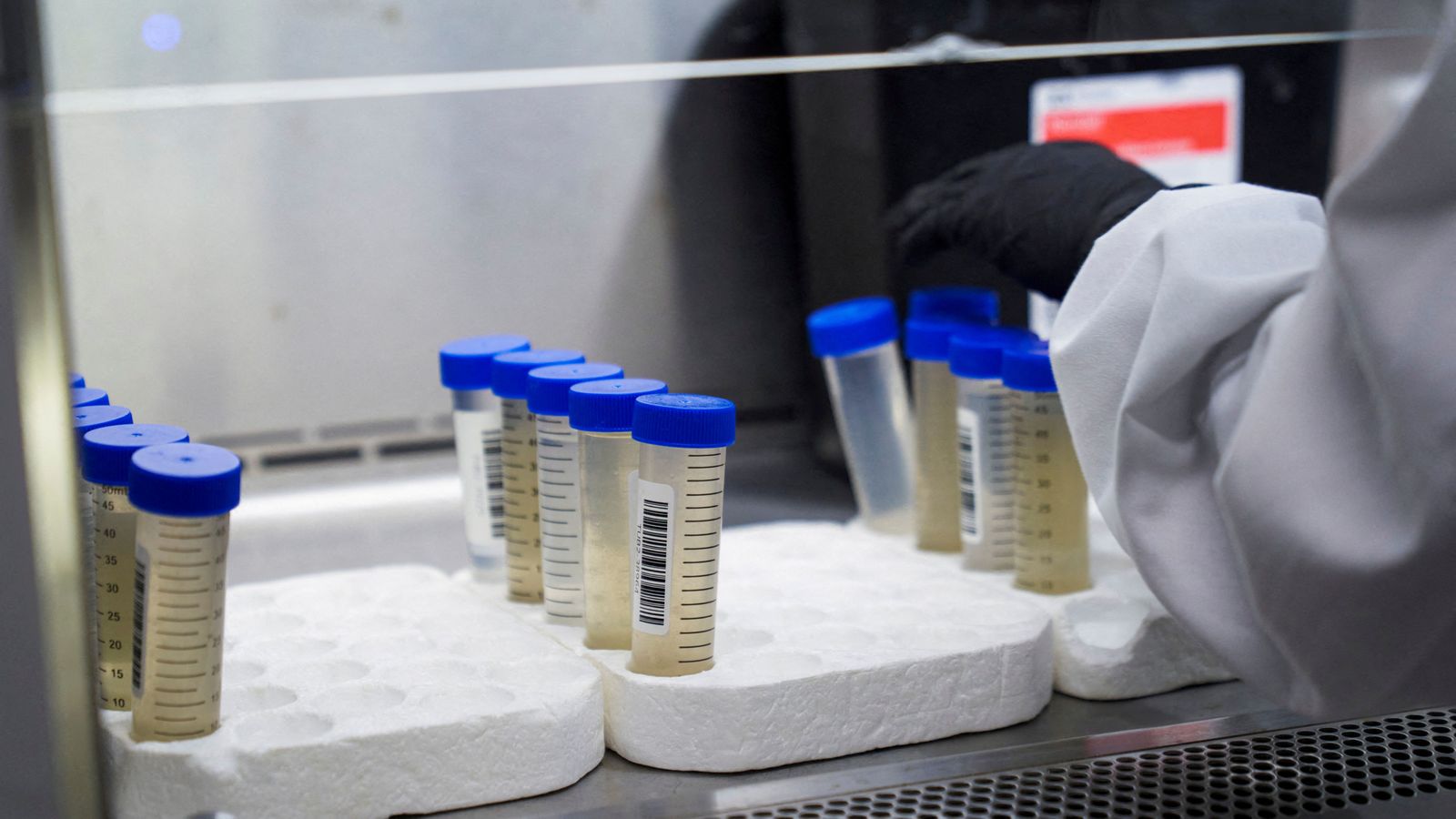 Un tècnic amb diverses mostres de pacients amb el virus respiratori en un laboratori de Massachusetts