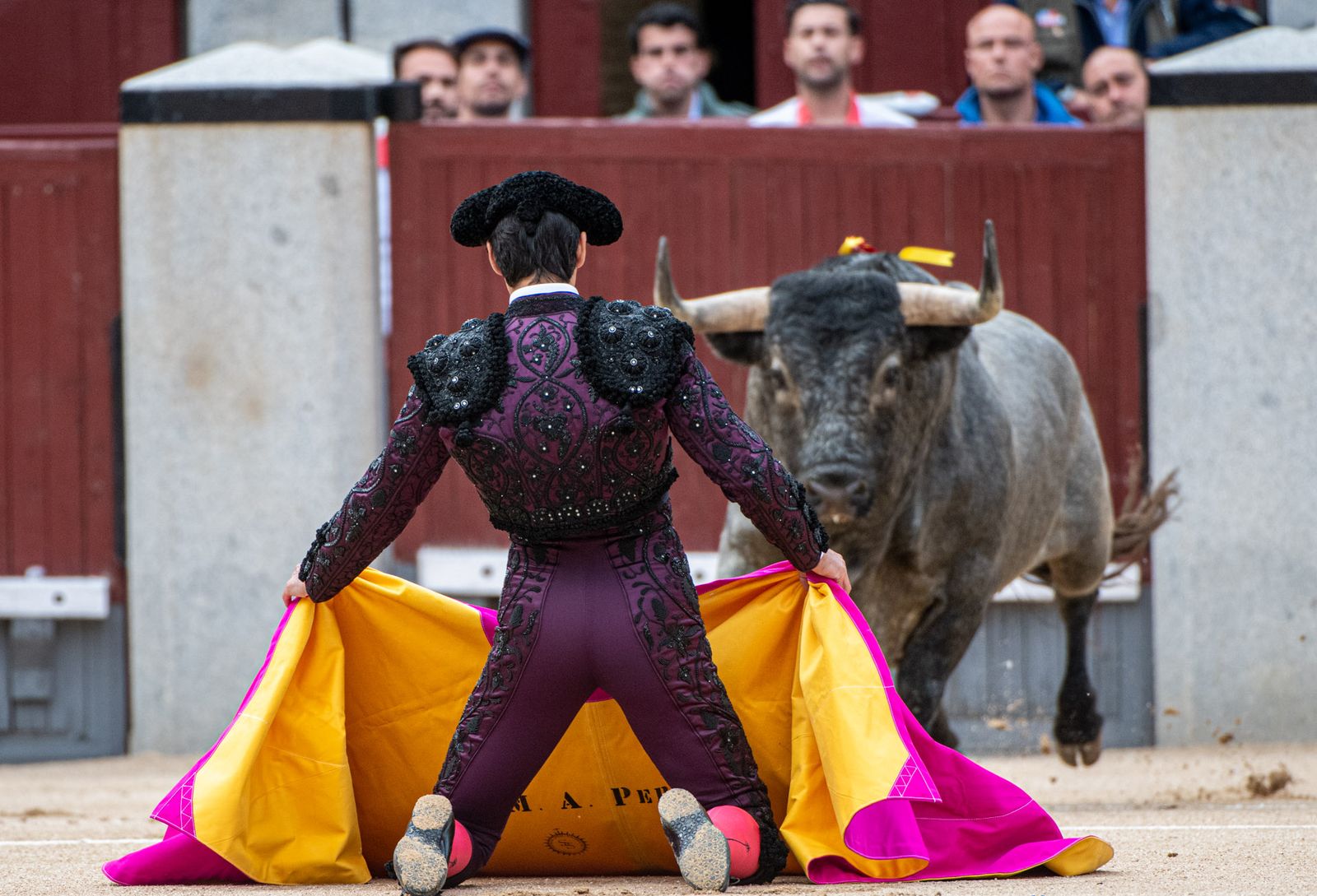 Perera i els bous de La Quinta tornen a vore's les cares a Madrid