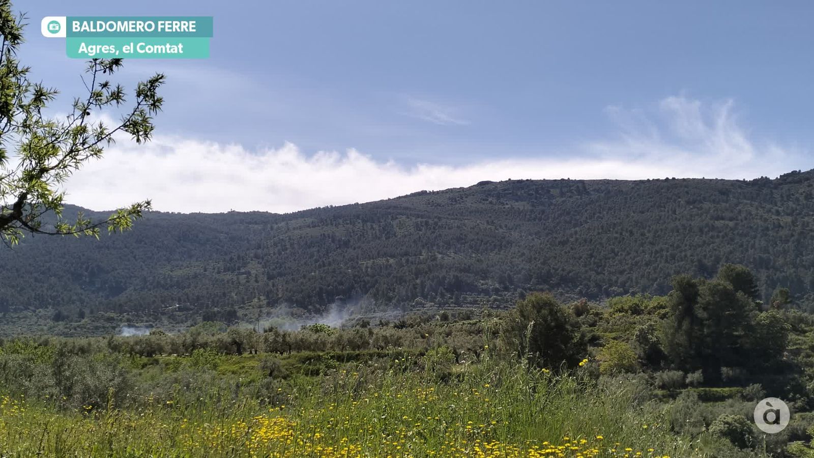 captura_2026-04-26 NIT_JAVI_F  AGRS_WM