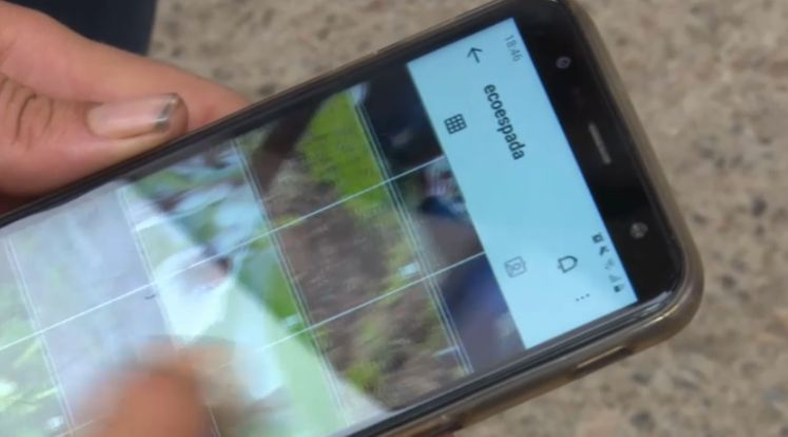 Aplicació on mostren els seus productes