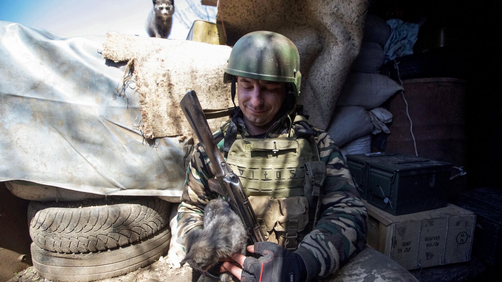 Un militar ucraïnés acaricia a un gat en una posició en primera línia a la regió de Donetsk