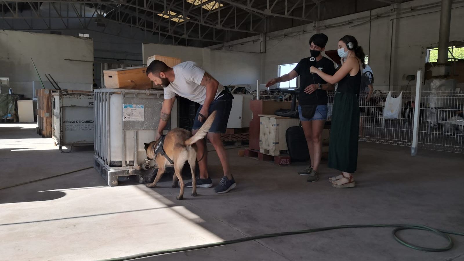 09.09.2021 | Ensinistrament de gossos