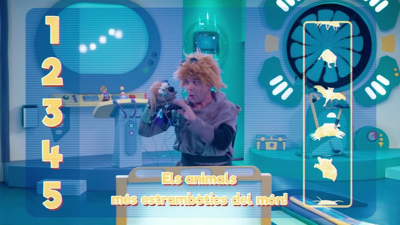 Els animals més estrambòtics del món!