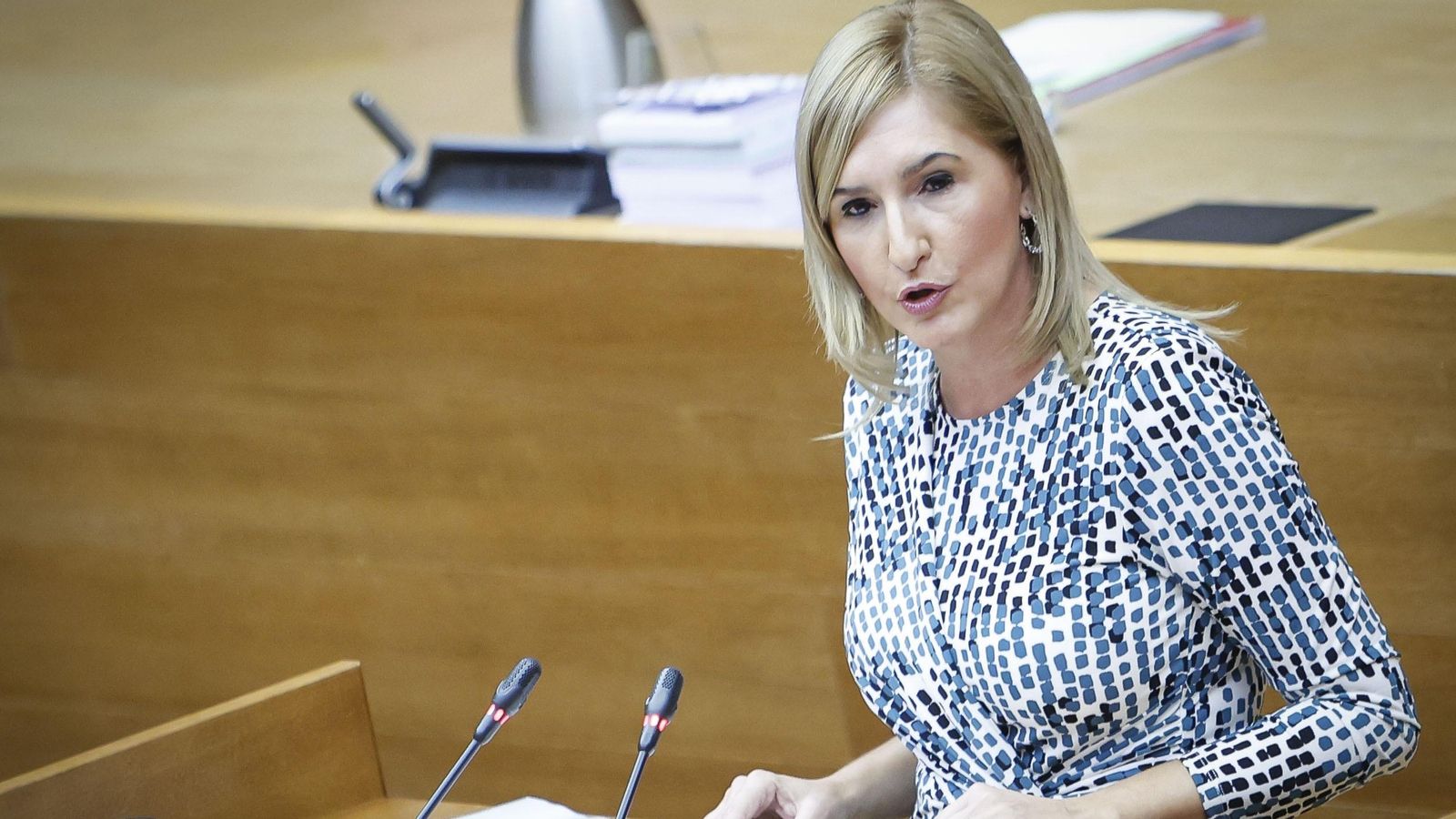 Salomé Pradas en la seua compareixença en les Corts