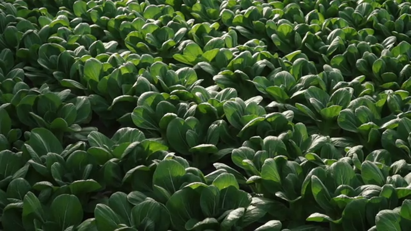 23.08.2023 | Terra Viva