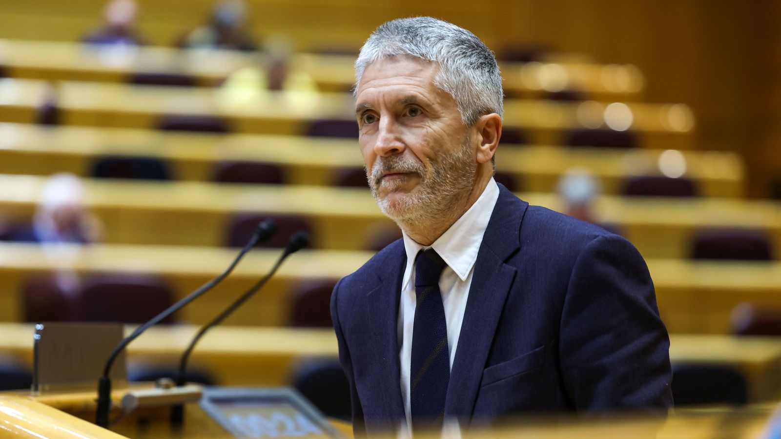 Intervenció de Marlaska en el Senat