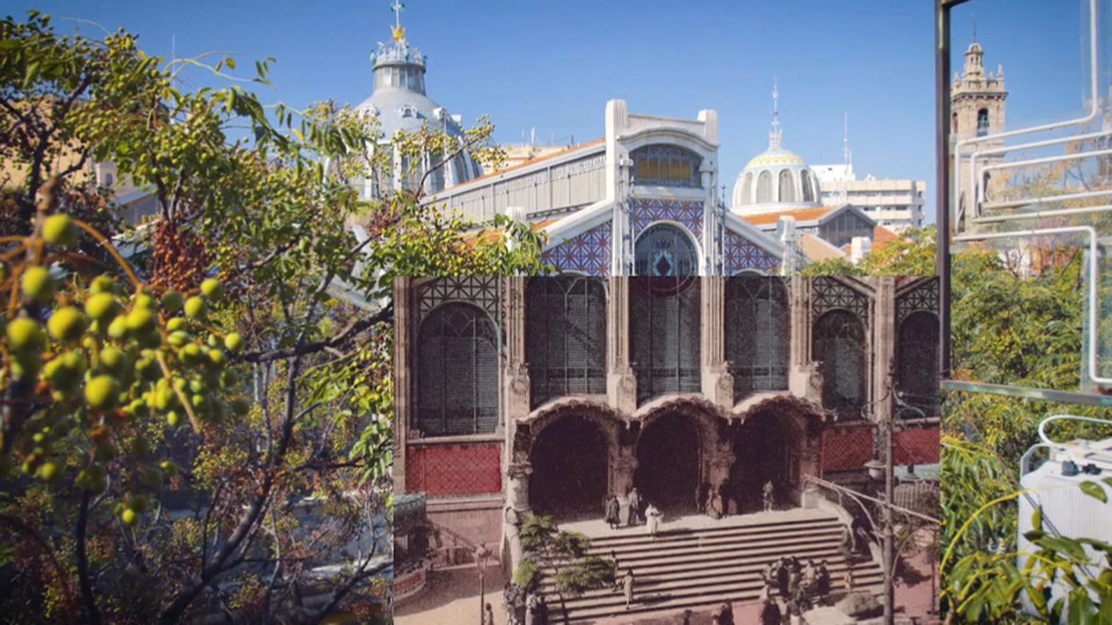 El Mercat Central de València apaga els llums per a demanar consens en els canvis de l’EMT