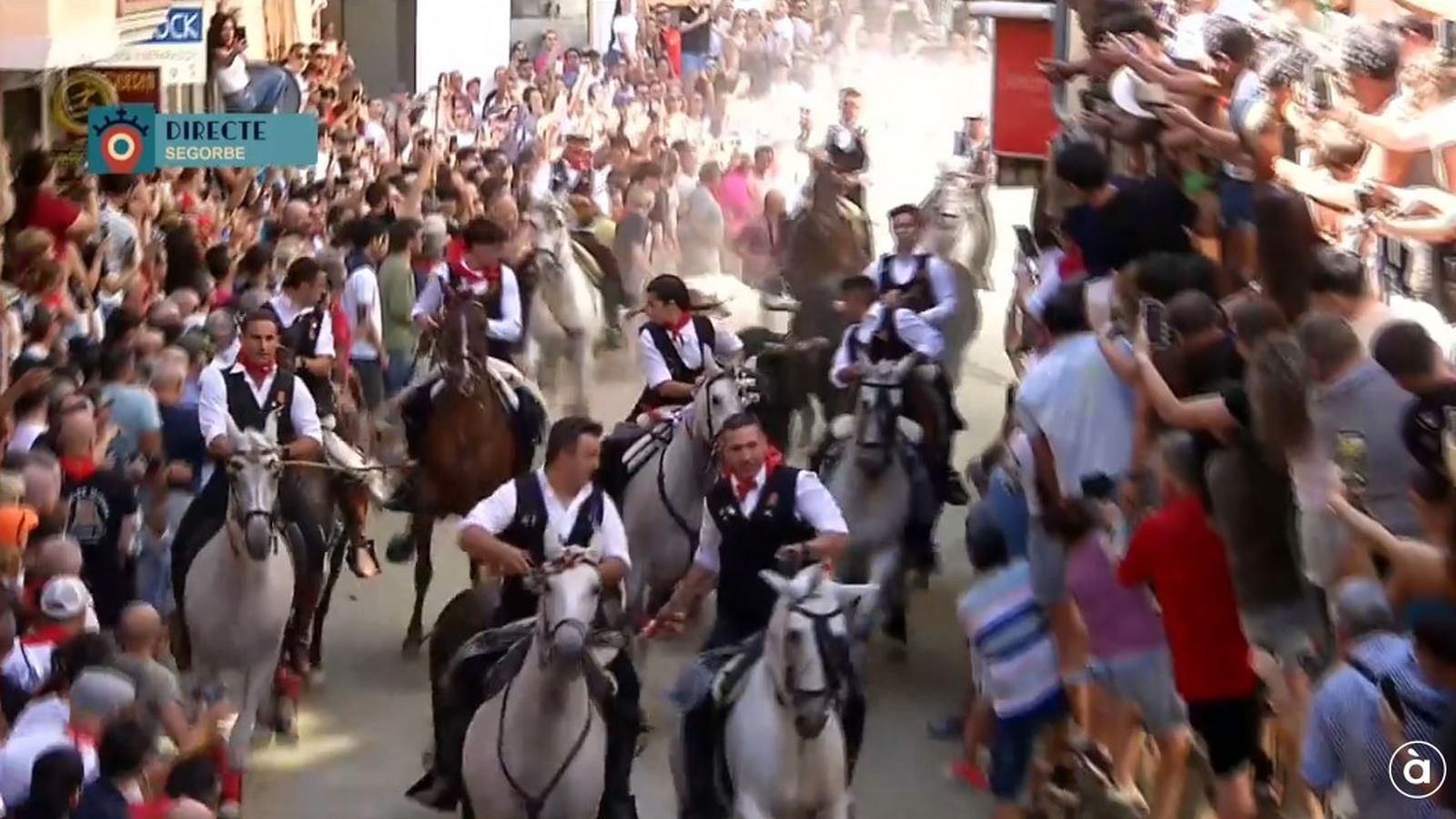 13.09.2026 | Entrada de Bous i Cavalls de Segorbe