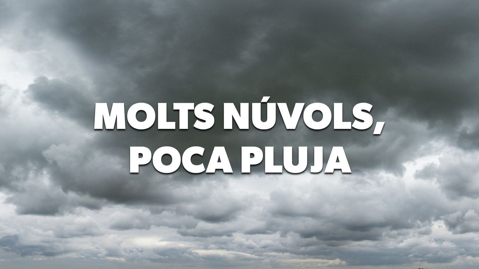 TITULAR COMARQUES