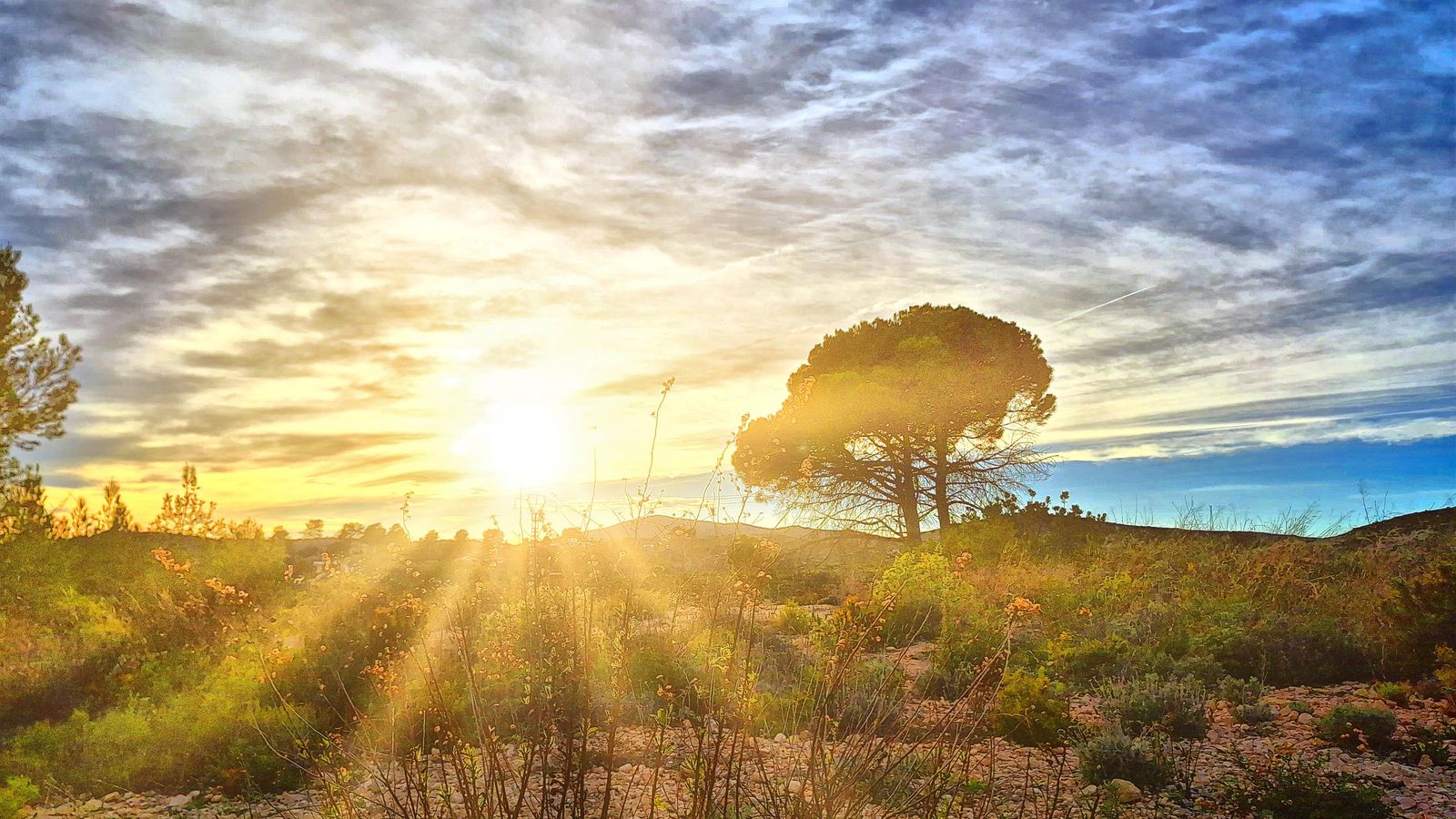 1.BOCAIRENT, LA VALL D'ALBAIDA, BLAI VANYÓ (2)