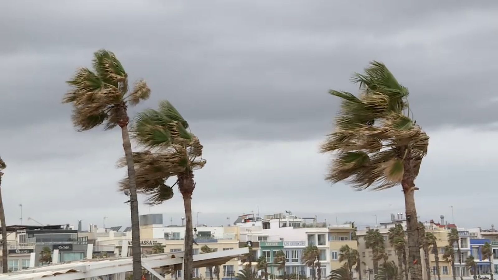 S'esperen forts vents a tota la Comunitat Valenciana este dissabte