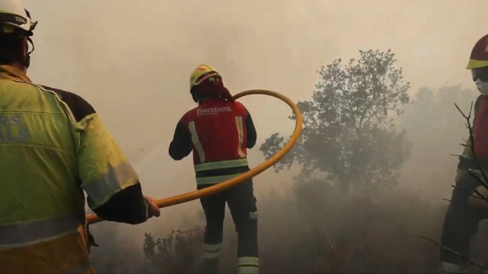 L'incendi d'Ibi entra al parc natural de la Font Roja