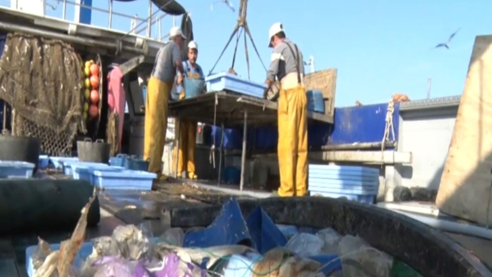 VÍDEO | Els pescadors valencians defensen l'ecosistema marí davant l'amenaça dels plàstics
