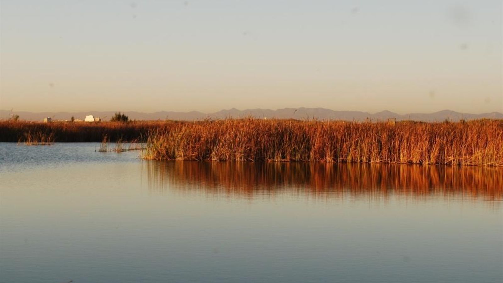 Dia Mundial de les Zones Humides