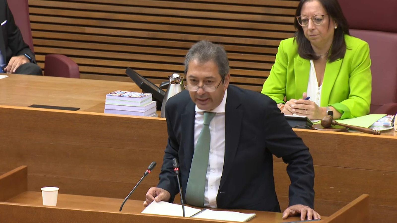 El vicepresident i conseller de Cultura, Vicente Barrera, durant la seua compareixença a Les Corts