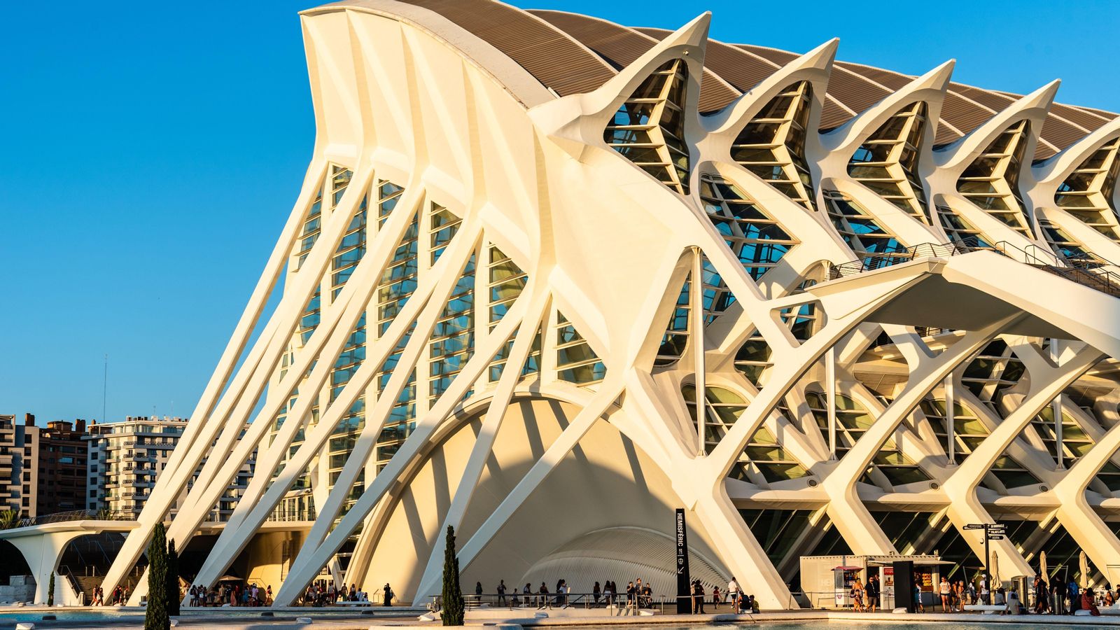 El Museu de les Ciències, situat en l'antic llit del Túria, es va inaugurar el 13 de novembre de l'any 2000