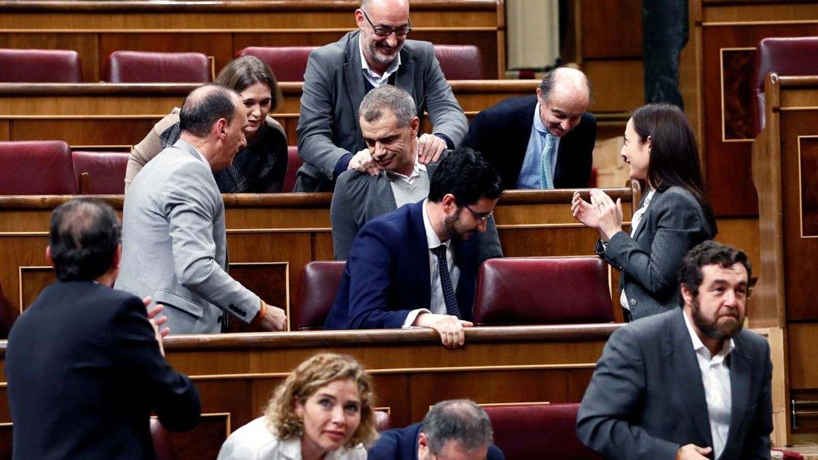 El Grup de Ciutadans durant el ple del Congrés