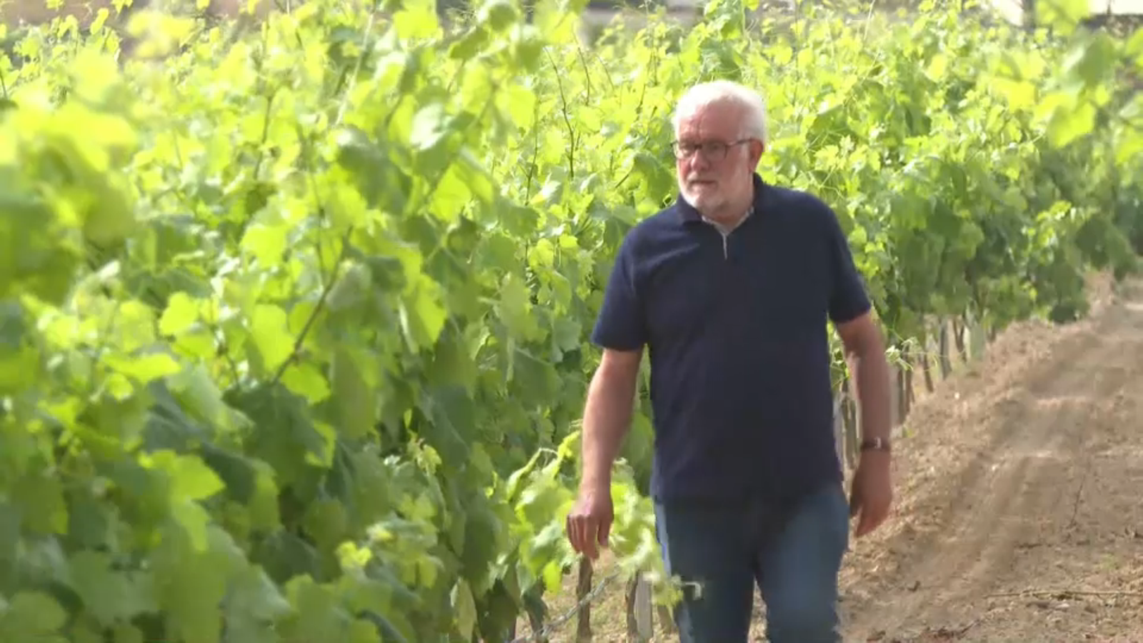 Emiliano Exposito, president de l’Associació d’Elaboradors de Cava de Requena