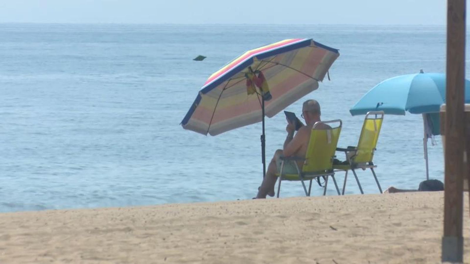 Reobrin de les platges de Daimús, Xeraco i Tavernes de la Valldigna