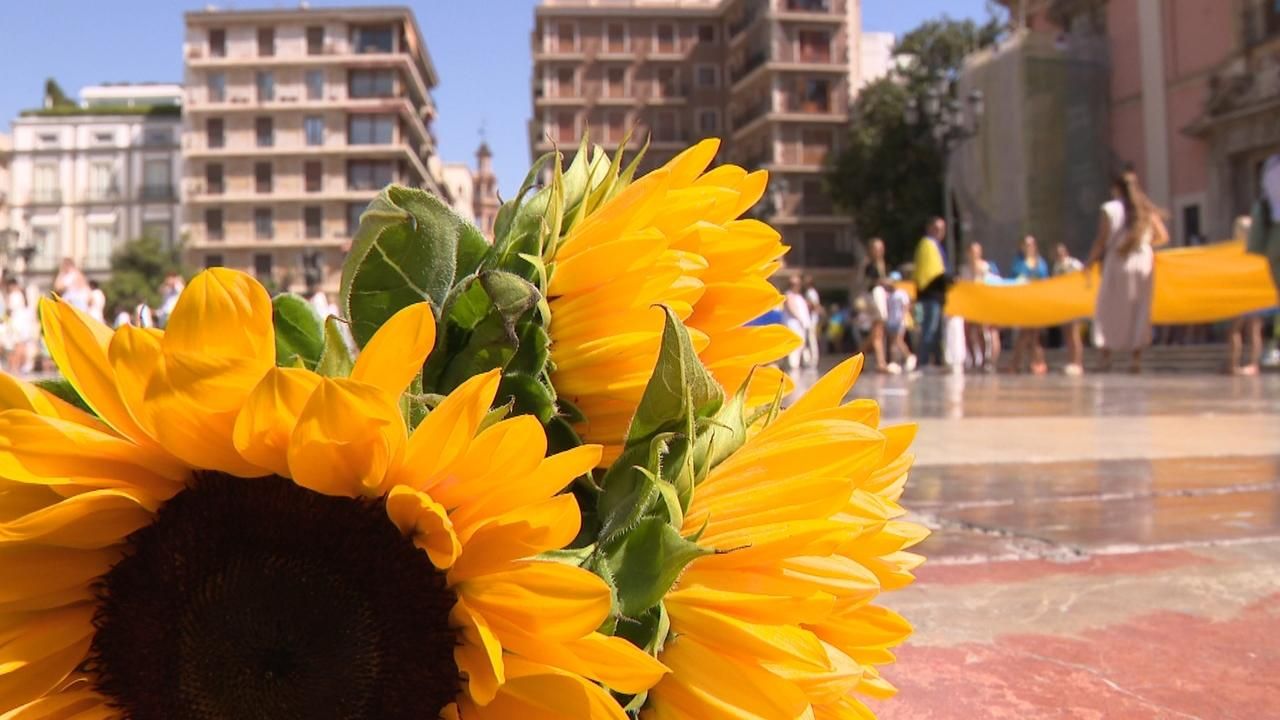 Concentració pel Dia de la Independència d'Ucraïna a la plaça de la Mare de Déu de València