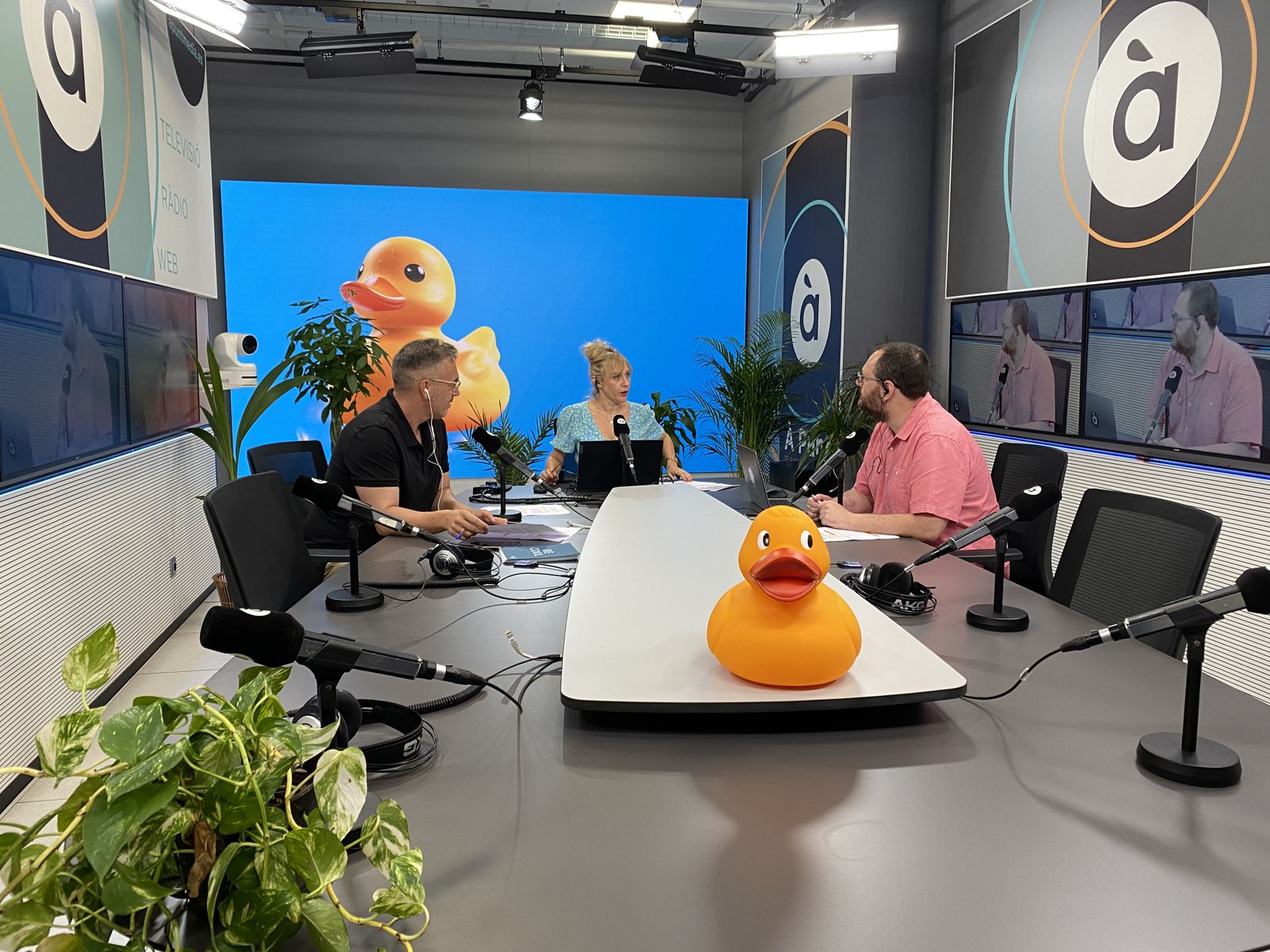 Des de hui Podríem fer-ho millor, el magazín d’actualitat i humor d’À Punt passa a emetre’s de dilluns a divendres