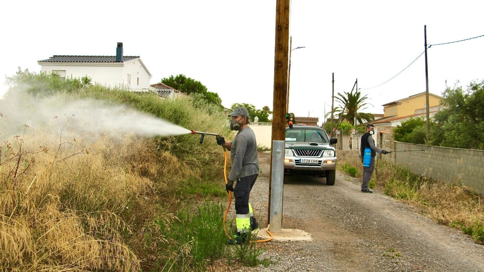 Uns operaris fumiguen una zona de la marjaleria del Grau