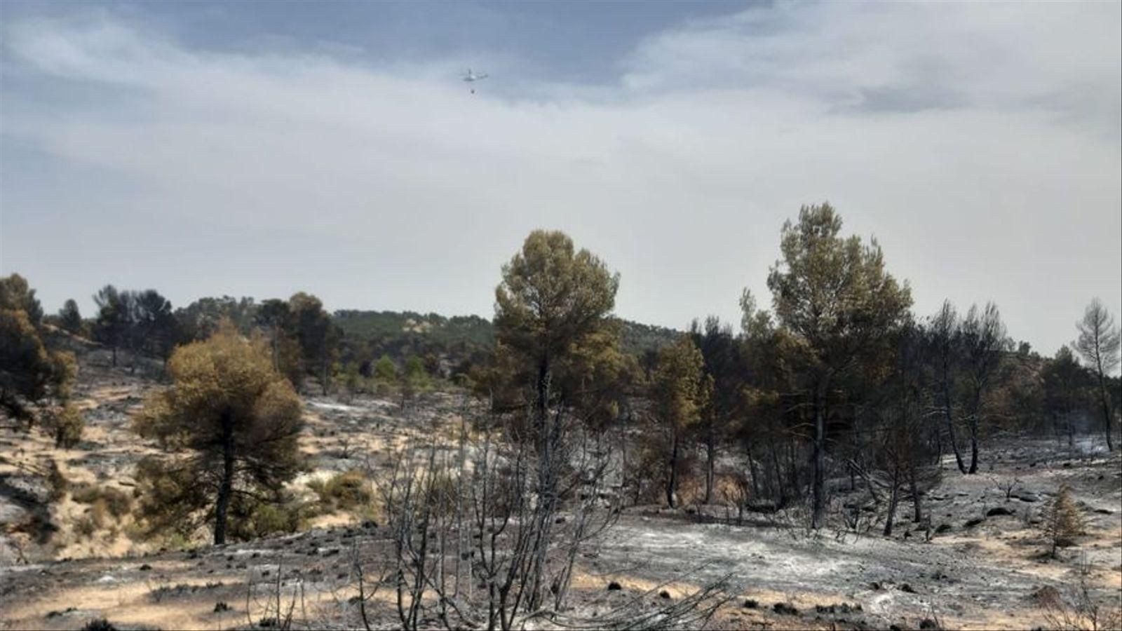 Imatge d'arxiu del terreny cremat per l'incendi de Venta del Moro