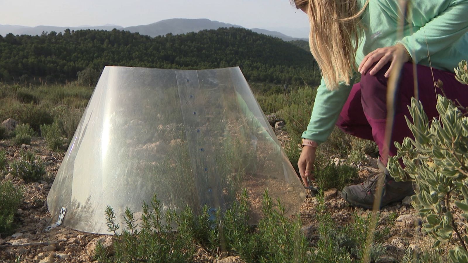 Projectes d'anticipació contra els efectes del canvi climàtic