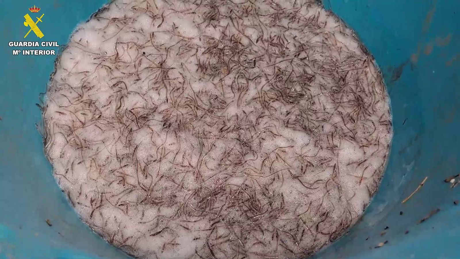 Poal amb les angules requisades