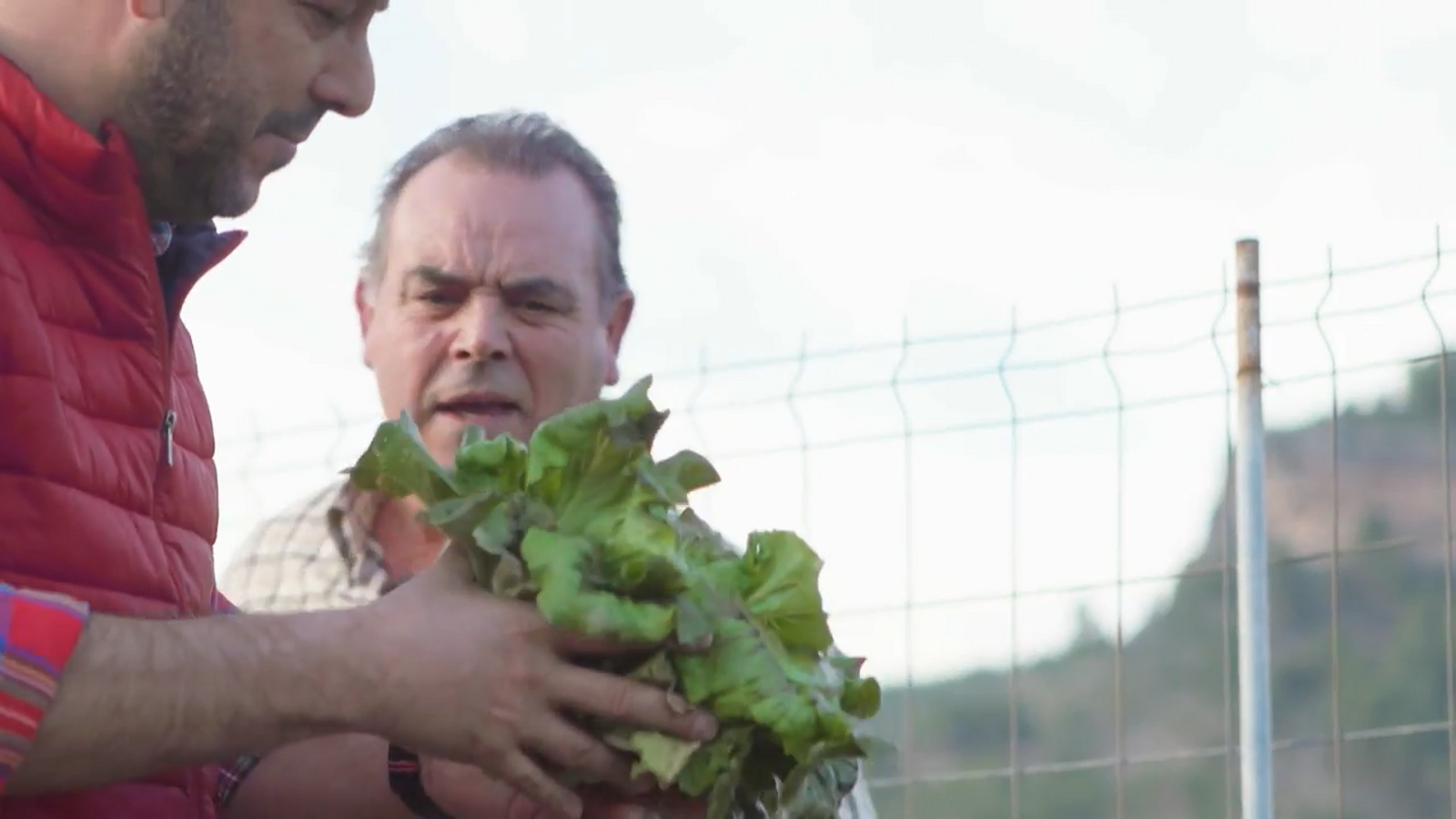 Cirat: ensalada meravellosa