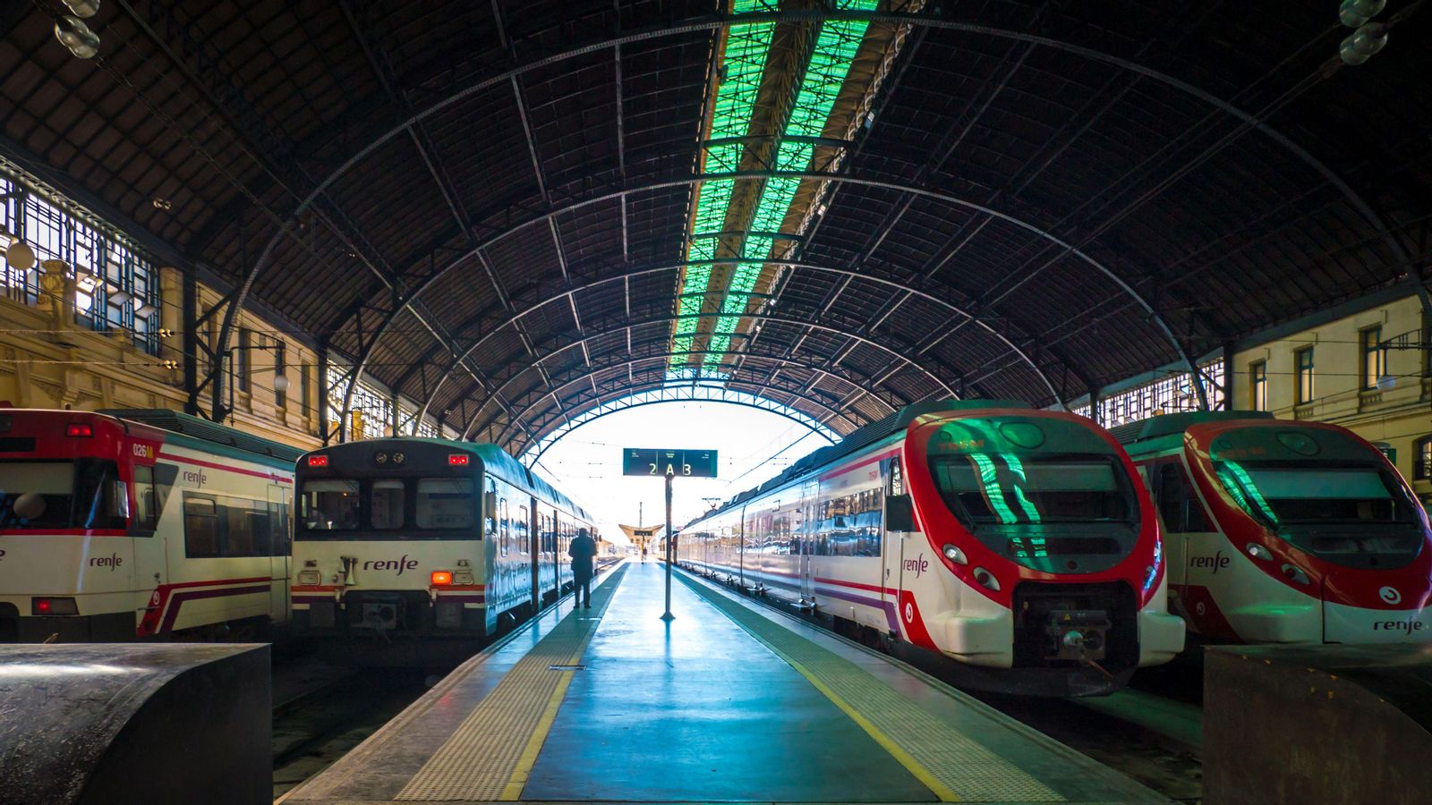 Diversos trens detinguts en les andanes de l'Estació del Nord de València
