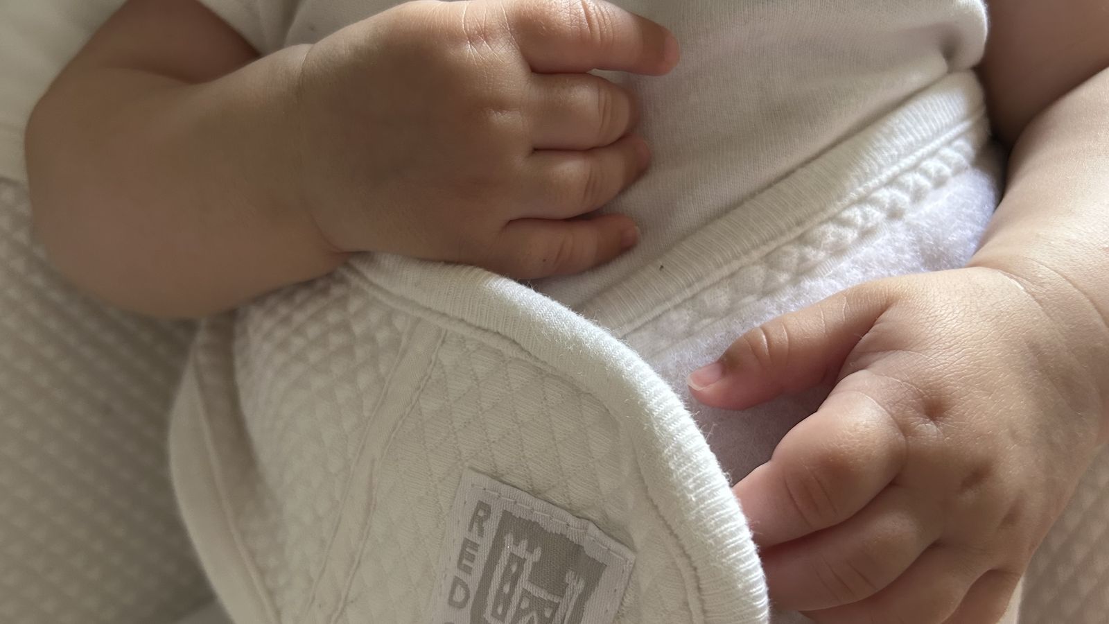 Un xiquet de bolquers, en arxiu