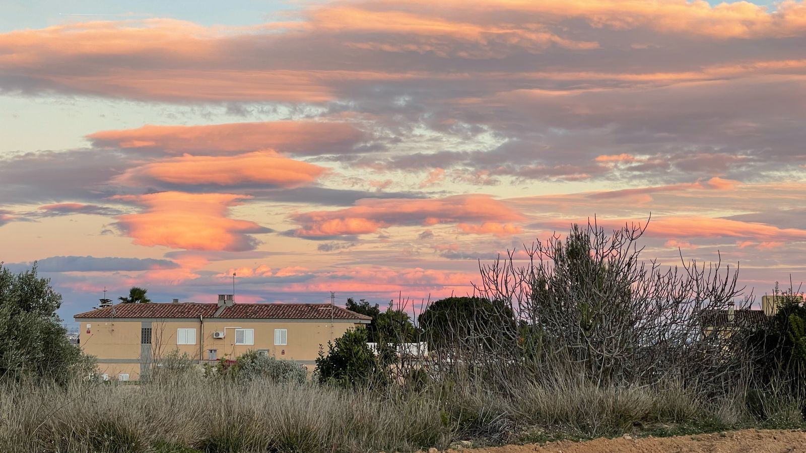 TORRENT, ALEJANDO SAIZ.jpeg