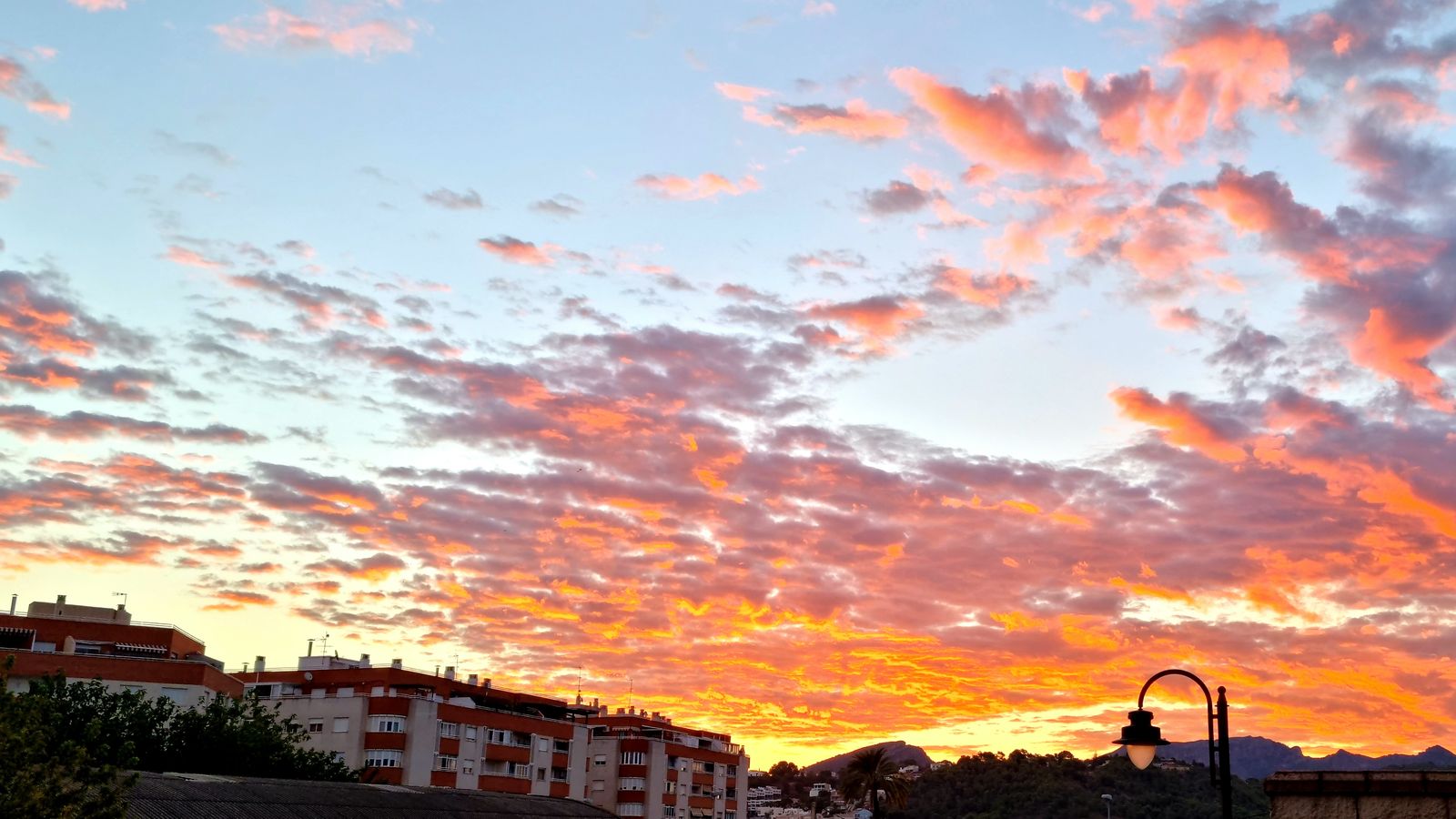 ALZIRA, LA RIBERA ALTA